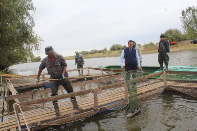 Құрманғазыда тоғаннан алғаш рет балық өнімдерін шығарды 