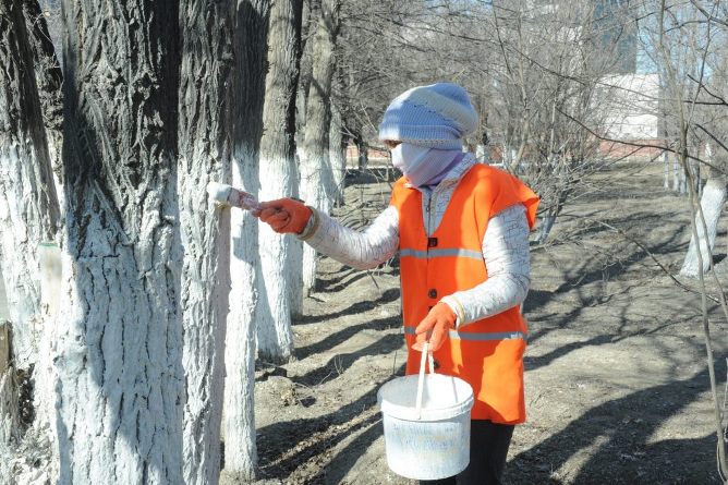 Жыл қорытындысы: "Арнаулы автобаза" атқарылған жұмыстармен бөлісті 