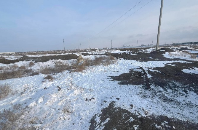 Самал мен Сарыөзек арасында шашылған қоқыс тазартылды