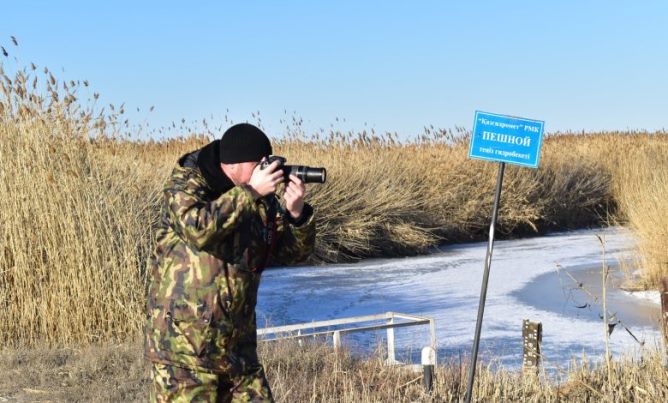 Каспийдің кері шегінуінен қамыс қаулап өсуде 
