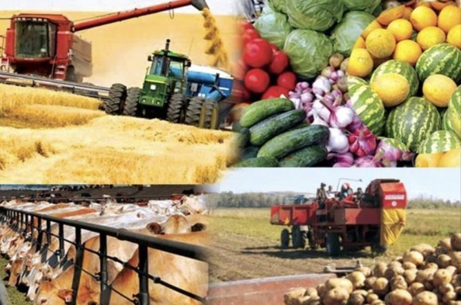 Жұмысшы мамандықтар -  ел экономикасының тірегі