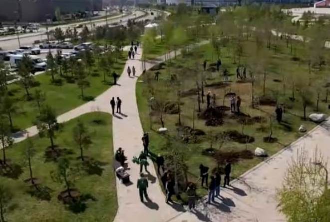    «Таза Қазақстан» акциясы миллиондаған адамдарды біріктірді