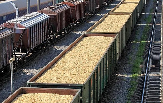 Бір жылда 13 млн тоннадан астам астық тасымалданған