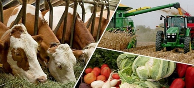 Ата кәсіп - ұрпаққа аманат