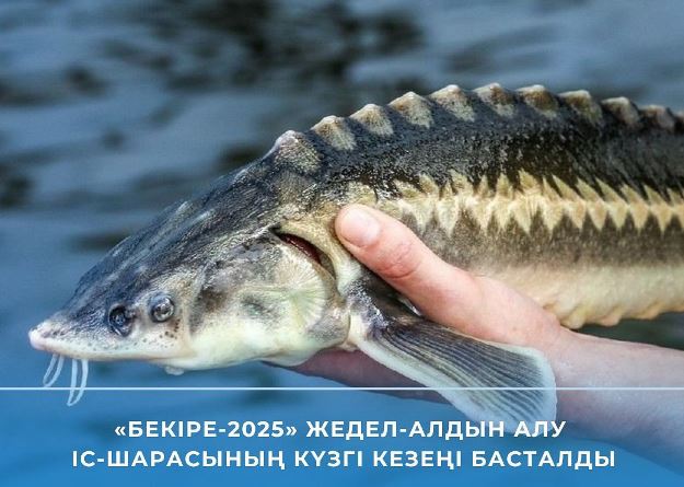 «Бекіре-2025» жедел-алдын алу іс-шарасының күзгі кезеңі басталды