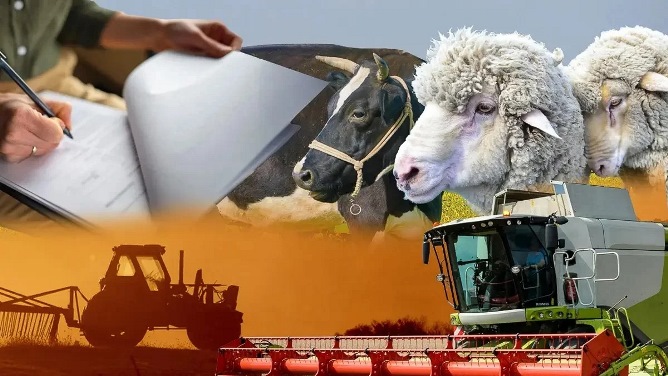 Ауыл шаруашылығын ауқымды қолдау елімізде бұрын-соңды болмаған – Тоқаев