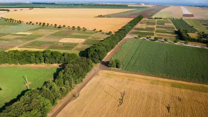 Алатау қаласында 5 млрд теңгенің жері мемлекетке қайтарылды