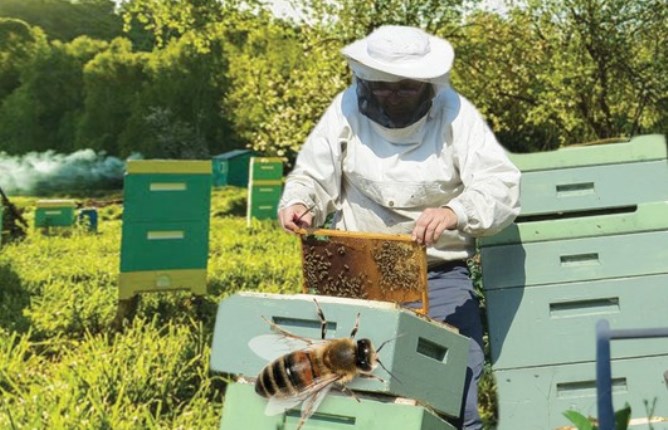 Салаға салғырт қарамасақ игі