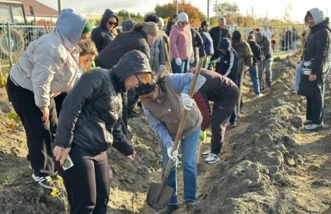 Құрманғазыда “Таза Қазақстан” акциясы аясында тал отырғызу шарасы өтті