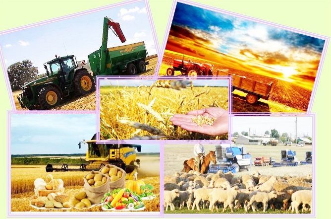 Отандық өндіріс - ел болшағы