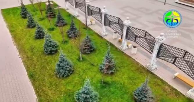 Атырауда демеушілердің қолдауымен сәндік ағаштар отырғызылуда