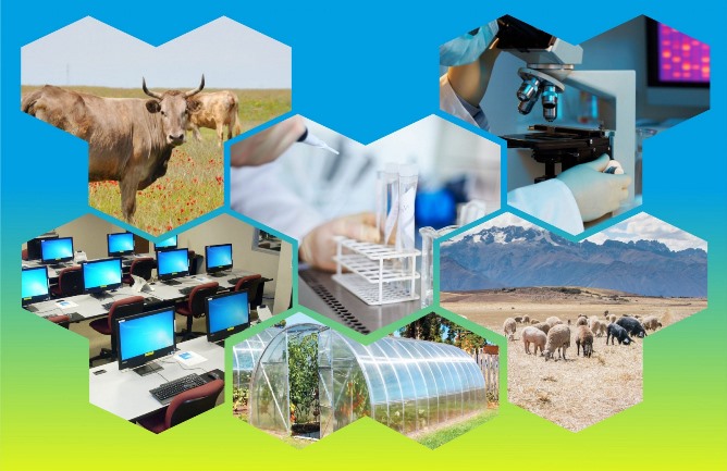 Жастарға берген жаңа серпін