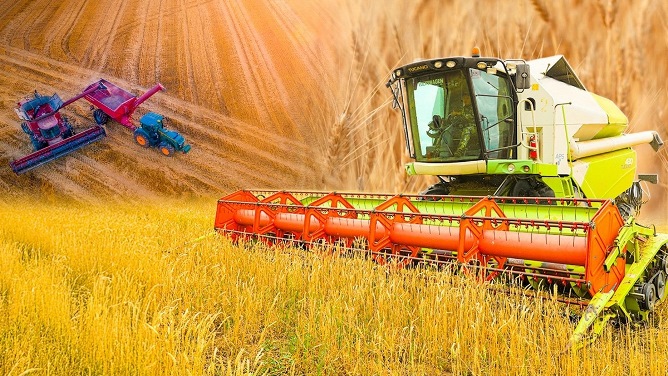 Елімізде егін жинау науқаны қалай жүріп жатыр