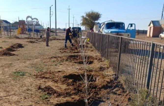 «Таза Қазақстан» акциясы: Ауыл түлектері мен кәсіпкерлердің қолдауымен ағаштар отырғызылды
