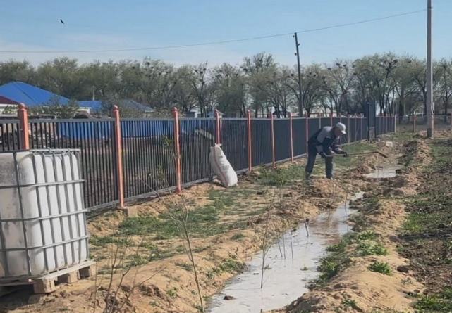 Елтайдағы саябақта сенбілік өтті 