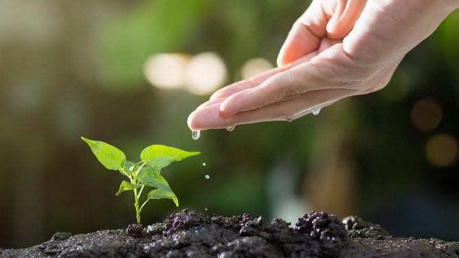 ТАЗАЛЫҚ - ІШКІ МӘДЕНИЕТТІҢ АЙНАСЫ 