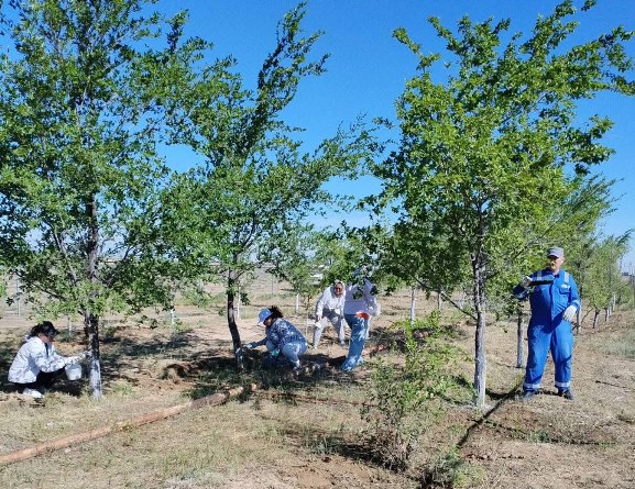 Бақсайда «Таза Қазақстан» акциясы жалғасуда