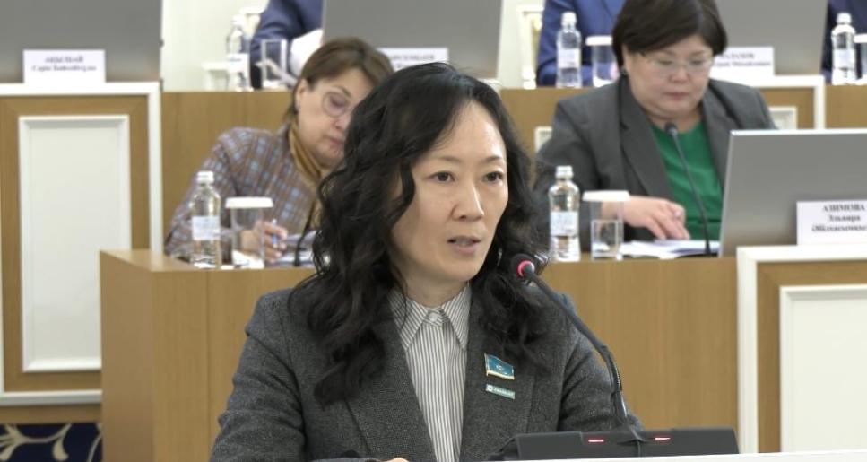 «Волонтерлік» ұғымын Конституцияда бекітуді ұсынылды