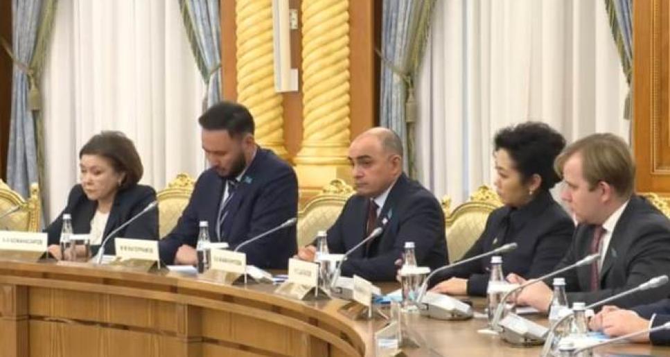 Мемлекет басшысы: «Парламентті реформалау бұл – Сенатты тарату деген сөз емес. Біз өкілді билік тармағын түбегейлі жаңғыртуымыз керек»