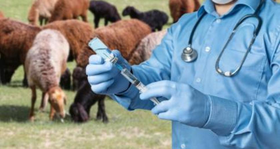 Жұмысшы мамандықтар жылы – еңбекті дәріптейтін жыл!