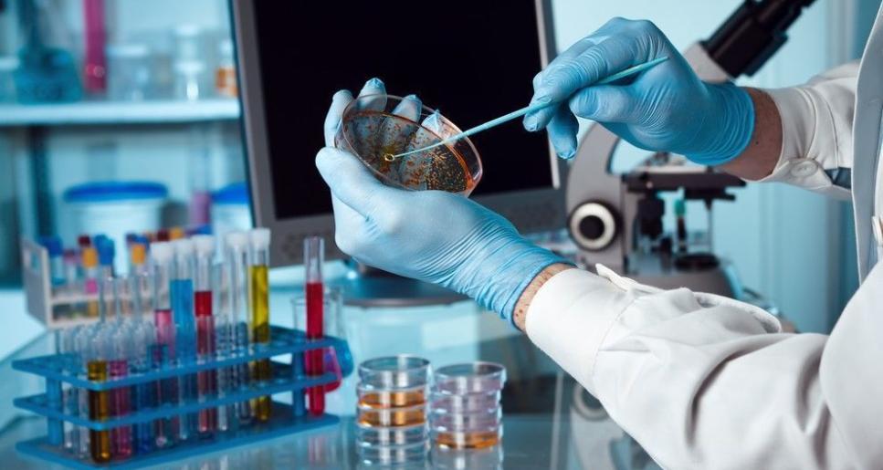 Атырауда төрт түлік арасындағы бруцеллезге шалдығу жағдайы азайды