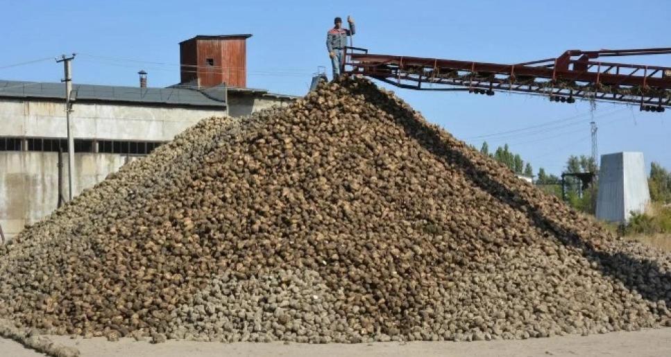 Жамбылда қант зауыты мен қызылша өсірушілер сатып алу бағасын көтеруге келісті
