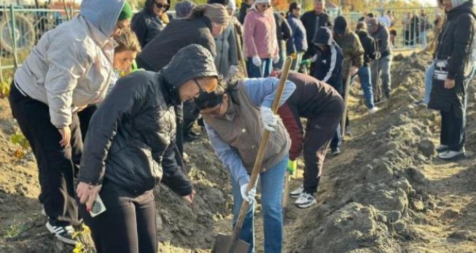 Құрманғазыда “Таза Қазақстан” акциясы аясында тал отырғызу шарасы өтті