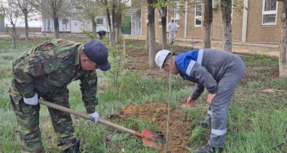 Тазалық жұмыстары қарқынды жүргізілуде