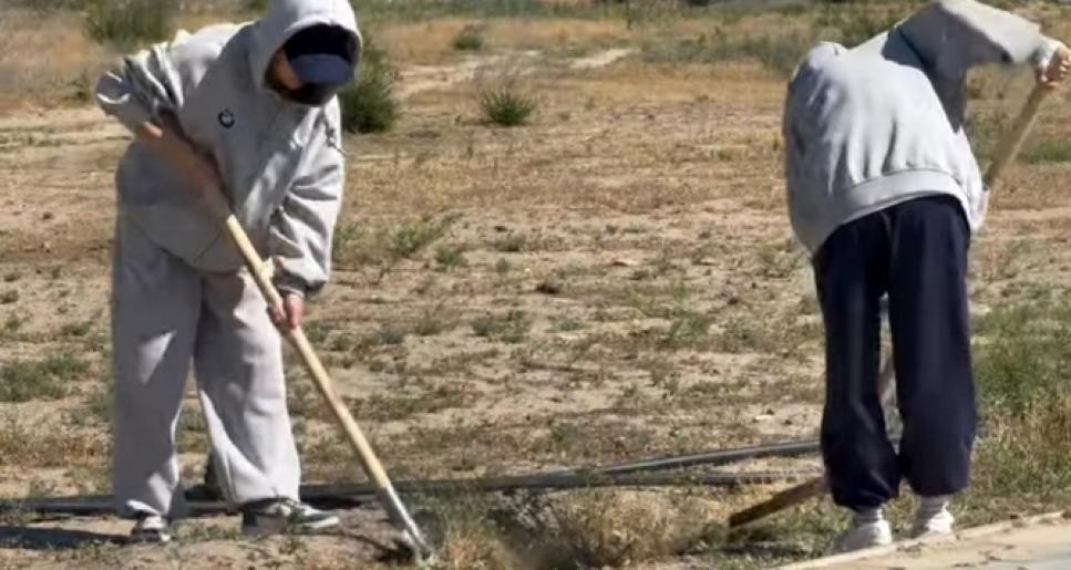 «Жасыл ел» жастары лагерь аумағын абаттандырды