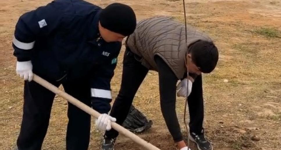 Құлсары қаласында 200-ге жуық көшет егілді