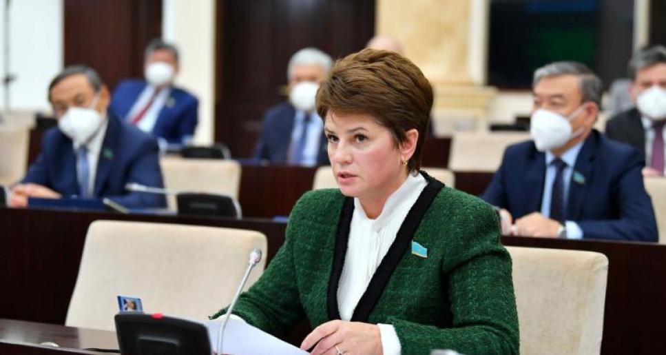 Конституциялық комиссияда жаңа Ата заңды бүкілхалықтық референдумға шығару ұсынылды