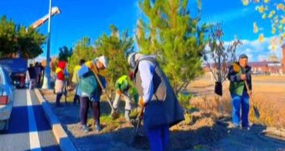 Олжас Бектенов әкімдіктерге ағаштарды сапалы отырғызуды қамтамасыз ету және тәлімбақтар құру жөнінде шаралар қабылдауды тапсырды