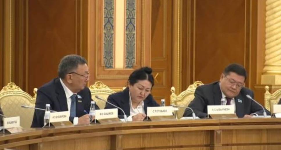 Президент: «Бір палаталы Парламентте партиялардың көп болуы саяси диалогты кәсіби негізде өрбітуге ынталандырады»