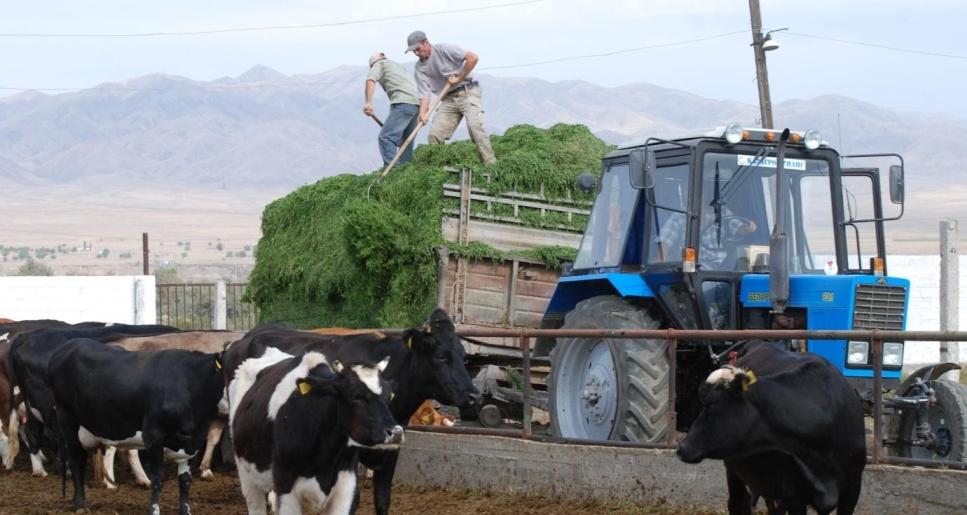 Елдің байлығы – еңбекқор жұмысшыда